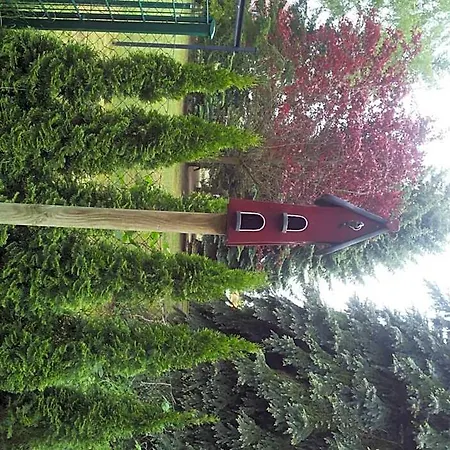 Port